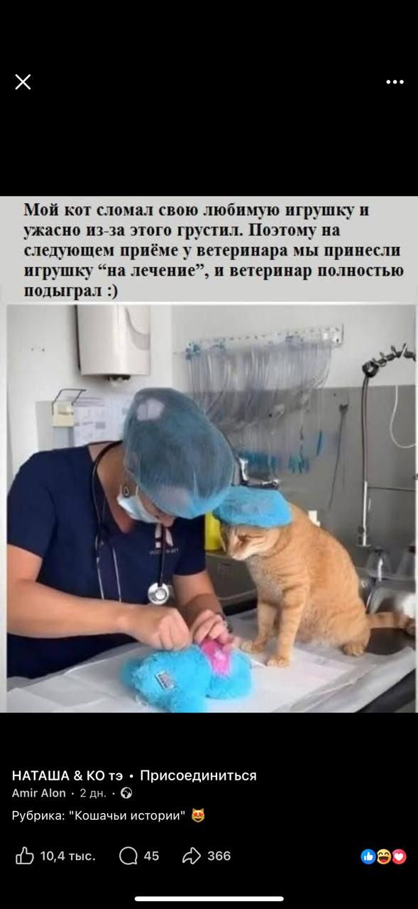 Мой кот сломал свою любимую игрушку и ужасно из-за этого грустил. Поэтому на следующем приёмe у ветеринара мы принесли игрушку 'на лечение', и ветеринар полностью подыграл :)