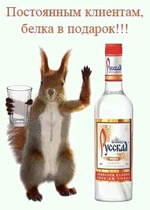 Постоянным клиентам, белка в подарок!!!