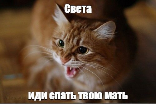 Света иди спать твою мать