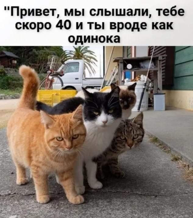 Привет, мы слышали, тебе скоро 40 и ты вроде как одинока