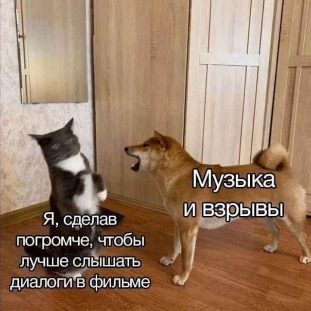 Я, сделав погромче, чтобы лучше слышать диалоги в фильме\nМузыка и взрывы