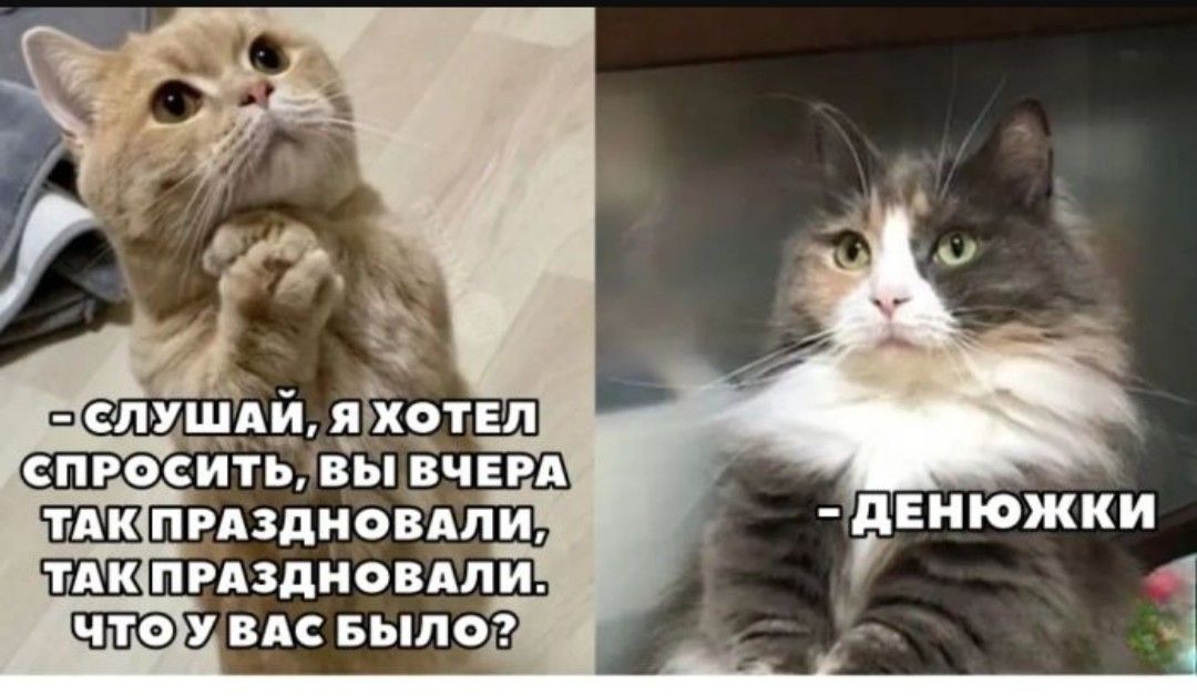 -Слушай, я хотел спросить, вы вчера так праздновали, так праздновали, что у вас было?
- Денюжки