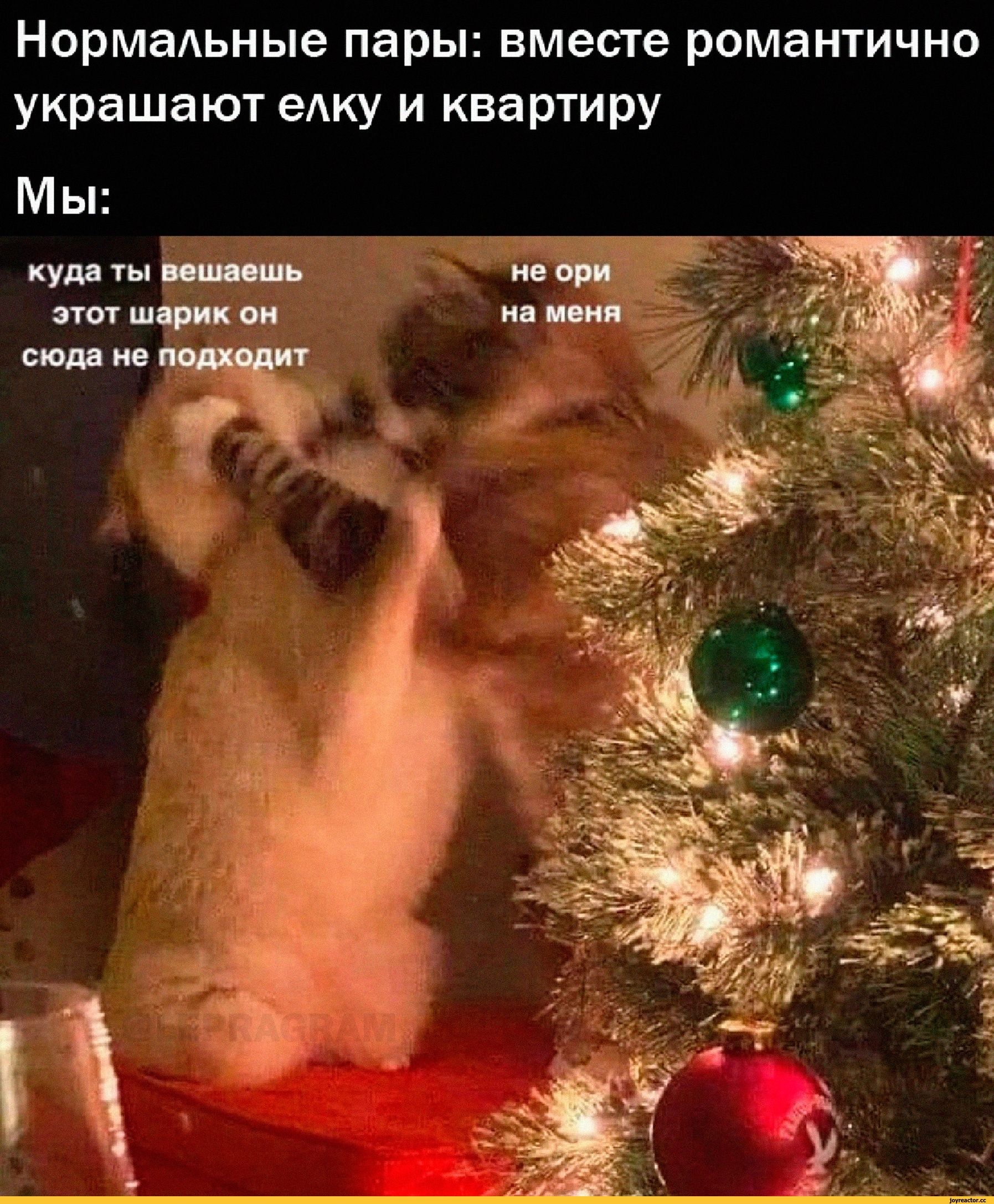 Нормальные пары: вместе романтично украшают елку и квартиру
Мы:
куда ты вешаешь этот шарик он сюда не подходит
не ори на меня