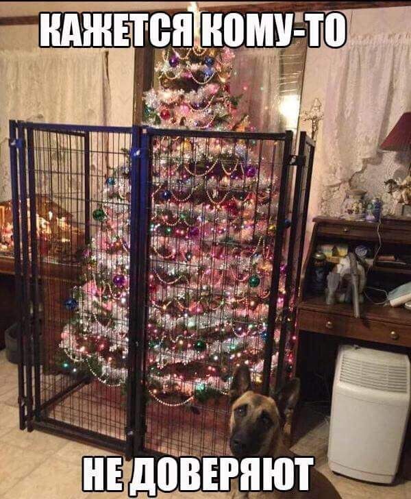 КАЖЕТСЯ КОМУ-ТО
НЕ ДОВЕРЯЮТ