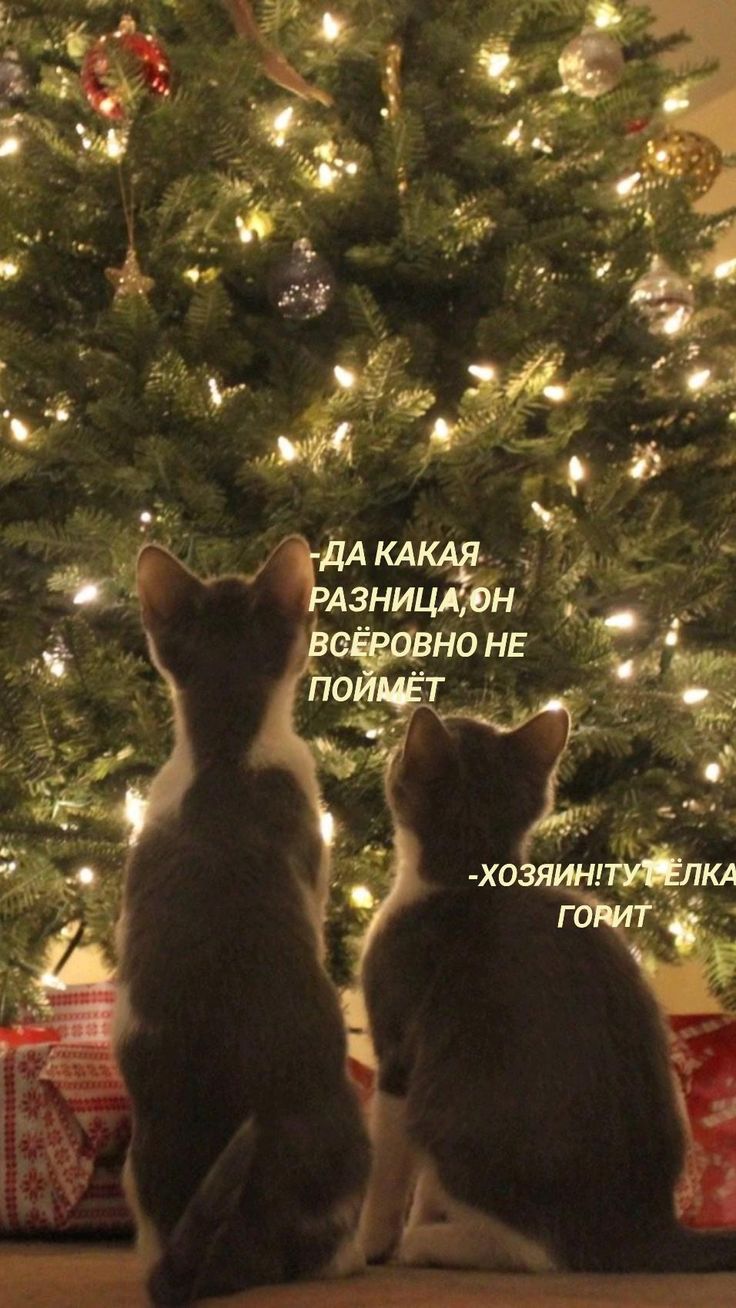 ДА КАКАЯ РАЗНИЦА,ОН ВСЁРОВНО НЕ ПОЙМЁТ
-ХОЗЯИН!УТЕЛКА ГОРИТ