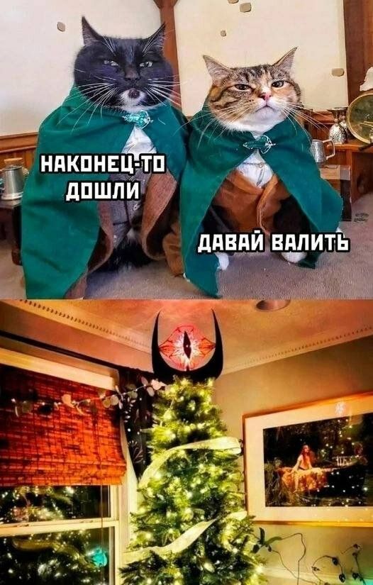 наконец-то дошли
давай валить