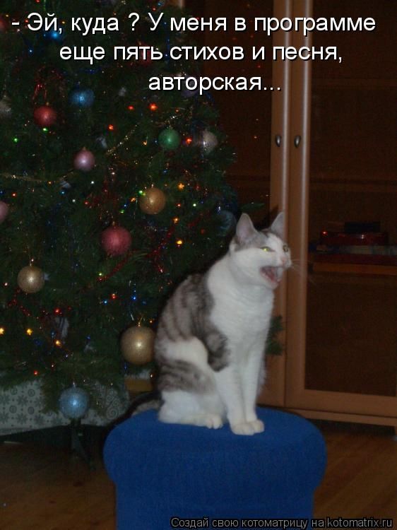 Эй, куда? У меня в программе еще пять стихов и песня, авторская...