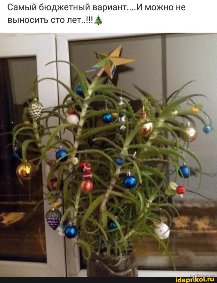Самый бюджетный вариант....И можно не выносить сто лет...!!!🎄