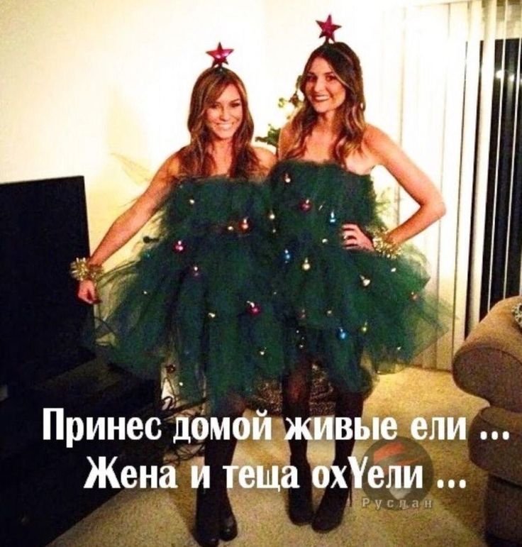 Принесли домой живые ели ... Жена и теща охели ...