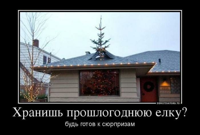 Хранишь прошлогоднюю елку? будь готов к сюрпризам