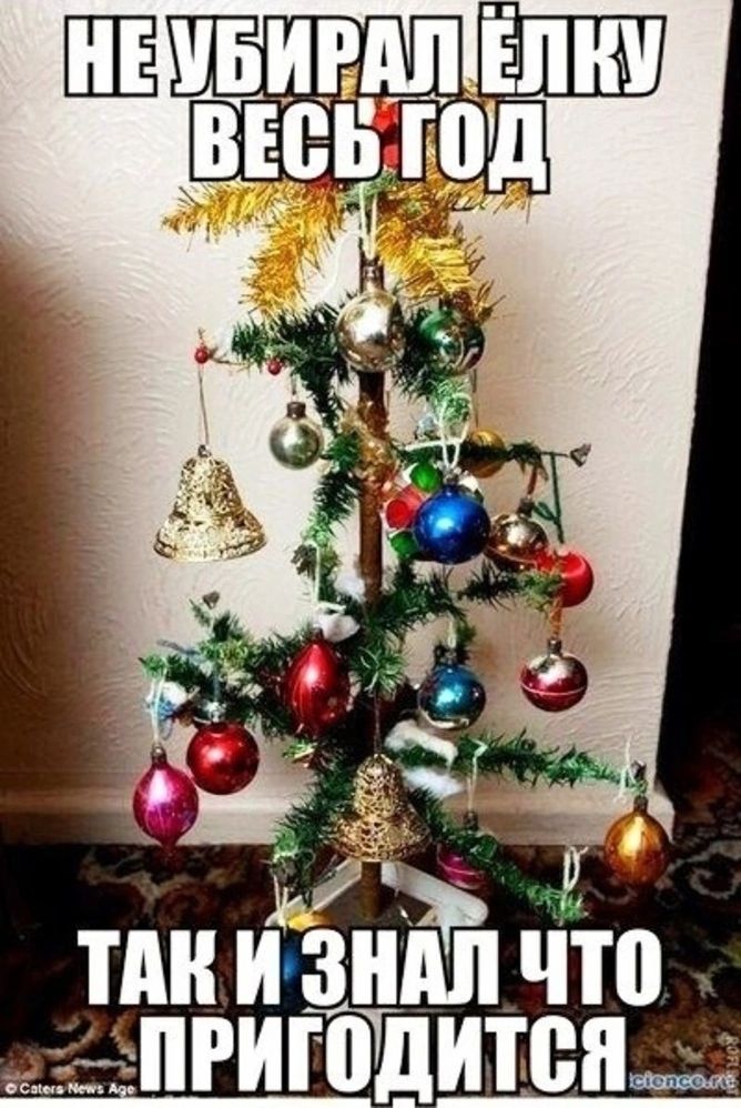 НЕ УБИРАЛИ ЁЛКУ ВЕСЬ ГОД ТАК И ЗНАЛ ЧТО ПРИГОДИТСЯ