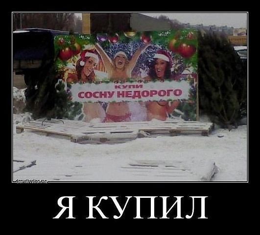 Соси недорого
Я купил