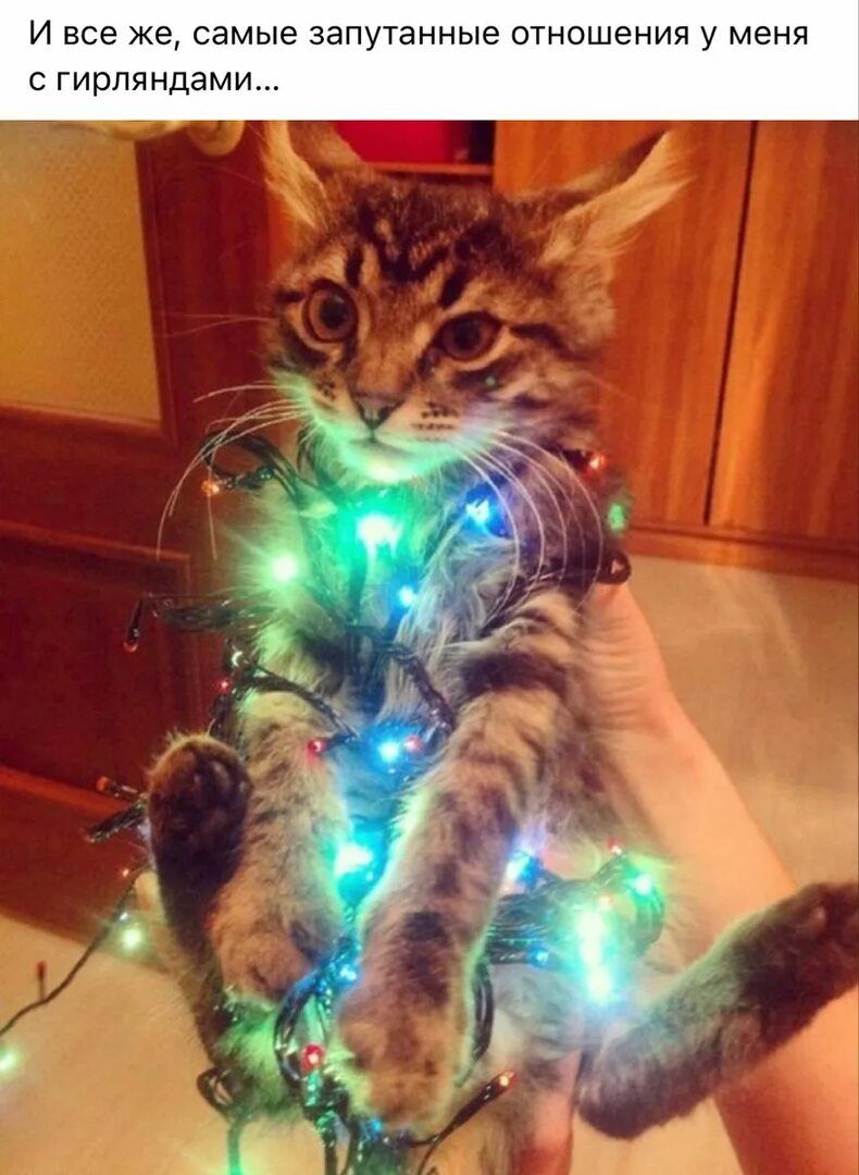 И все же, самые запутанные отношения у меня с гирляндами...