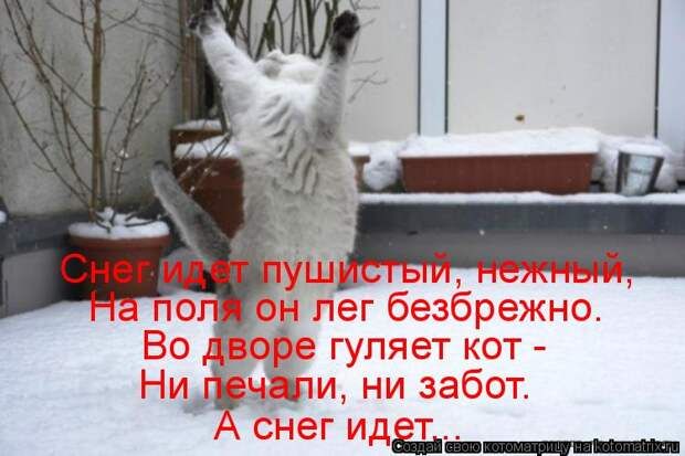 Снег идет пушистый, нежный, На поля он лег безбрежно. Во дворе гуляет кот - Ни печали, ни забот. А снег идёт.