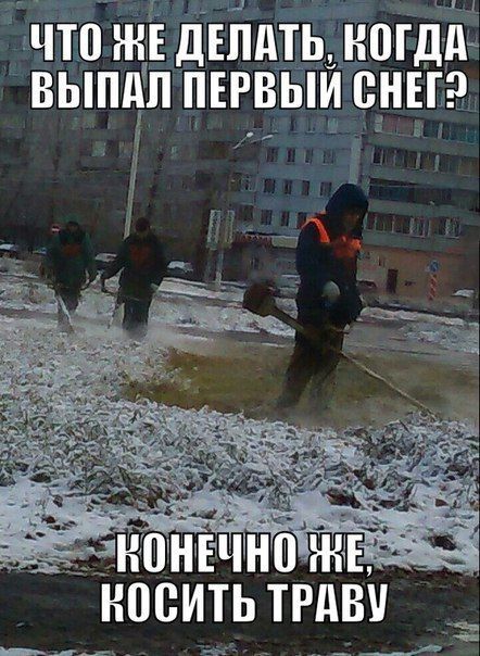 ЧТО ЖЕ ДЕЛАТЬ, КОГДА ВЫПАЛ ПЕРВЫЙ СНЕГ? КОНЕЧНО ЖЕ, КОСИТЬ ТРАВУ