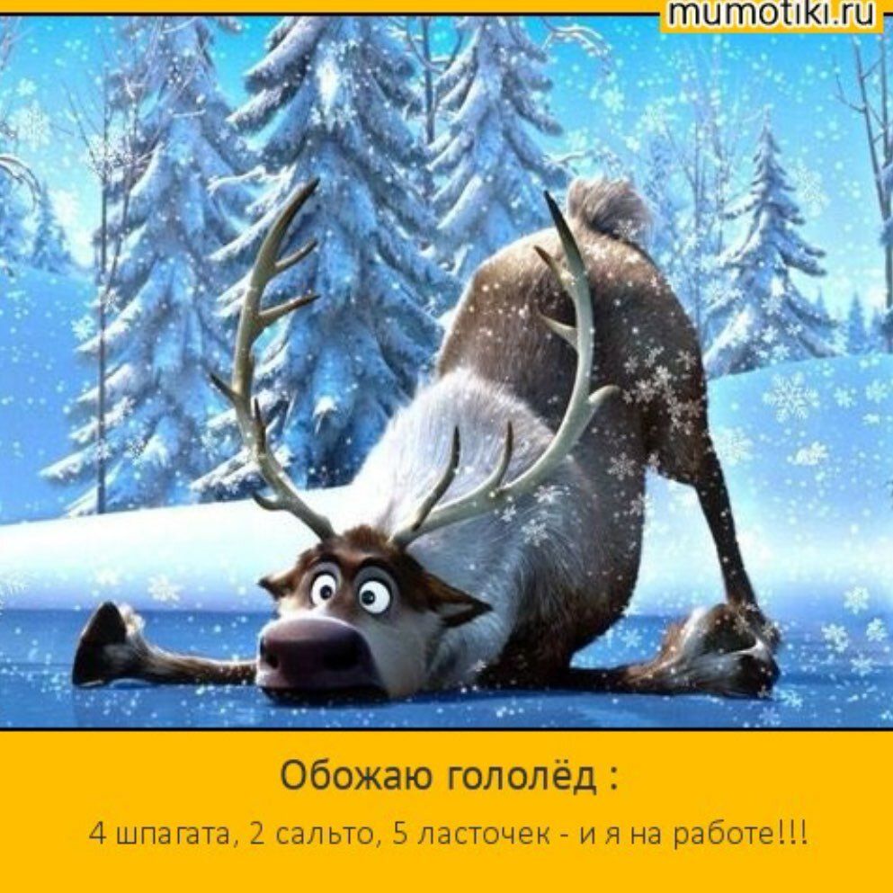 Обожаю гололёд : 4 шпагата, 2 салто, 5 ласточек - и я на работе!!!