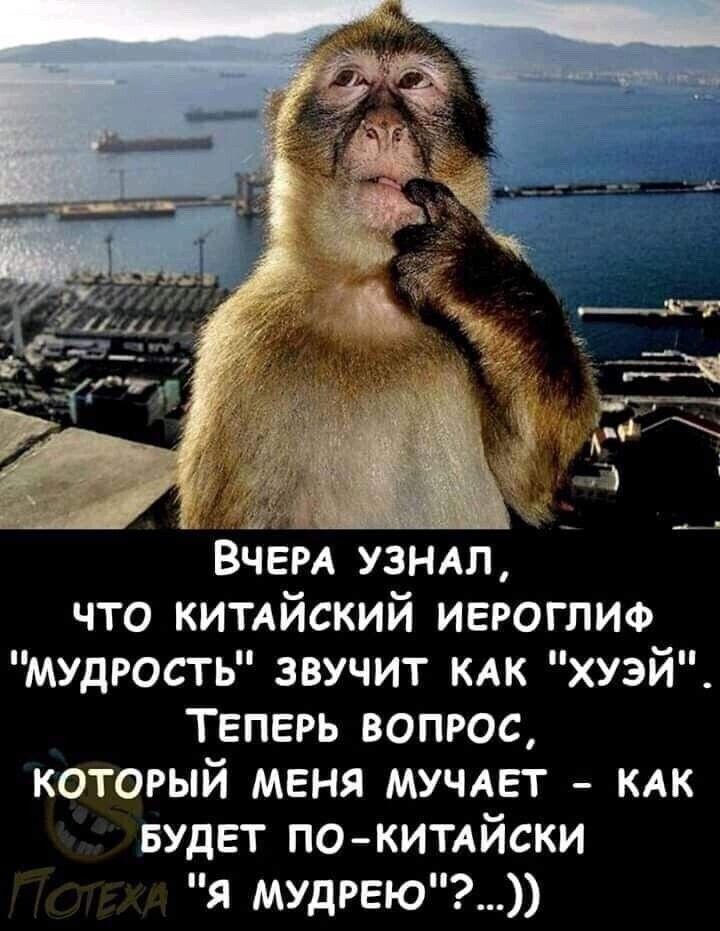 Вчера узнал, что китайский иероглиф 'мудрость' звучит как 'хуэй'. Теперь вопрос, который меня мучает - как будет по-китайски 'я мудрею'?...))