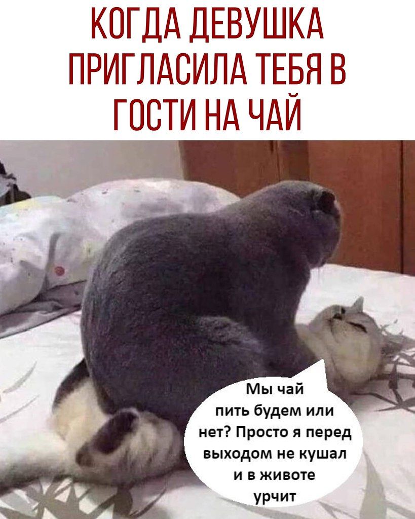 КОГДА ДЕВУШКА ПРИГЛАСИЛА ТЕБЯ В ГОСТИ НА ЧАЙ Мы чай пить будем или нет? Просто я перед выходом не кушал и в животе урчит