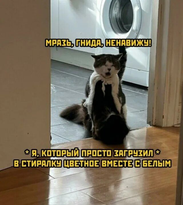МРАЗЬ, ГНИДА, НЕНАВИЖУЮ! * Я, КОТОРЫЙ ПРОСТО ЗАГРУЗИЛ * В СТИРАЛКУ ЦВЕТНОЕ ВМЕСТЕ С БЕЛЫМ