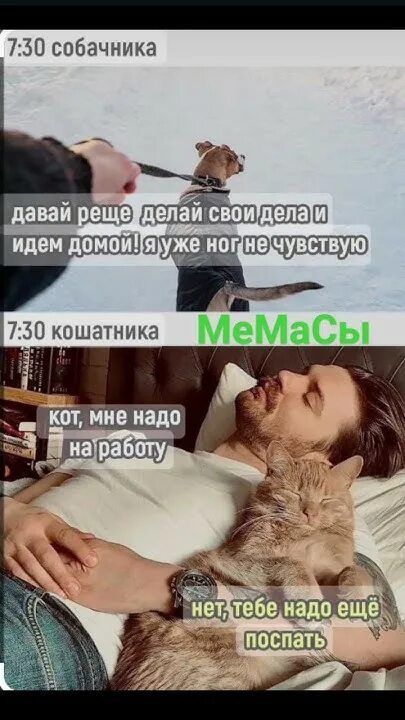 7:30 собачника
давай реше делай свои дела и идем домой! Я уже ног не чувствую
7:30 кошатника
MeMaСы
кот, мне надо на работу
нет, тебе надо еще поспать