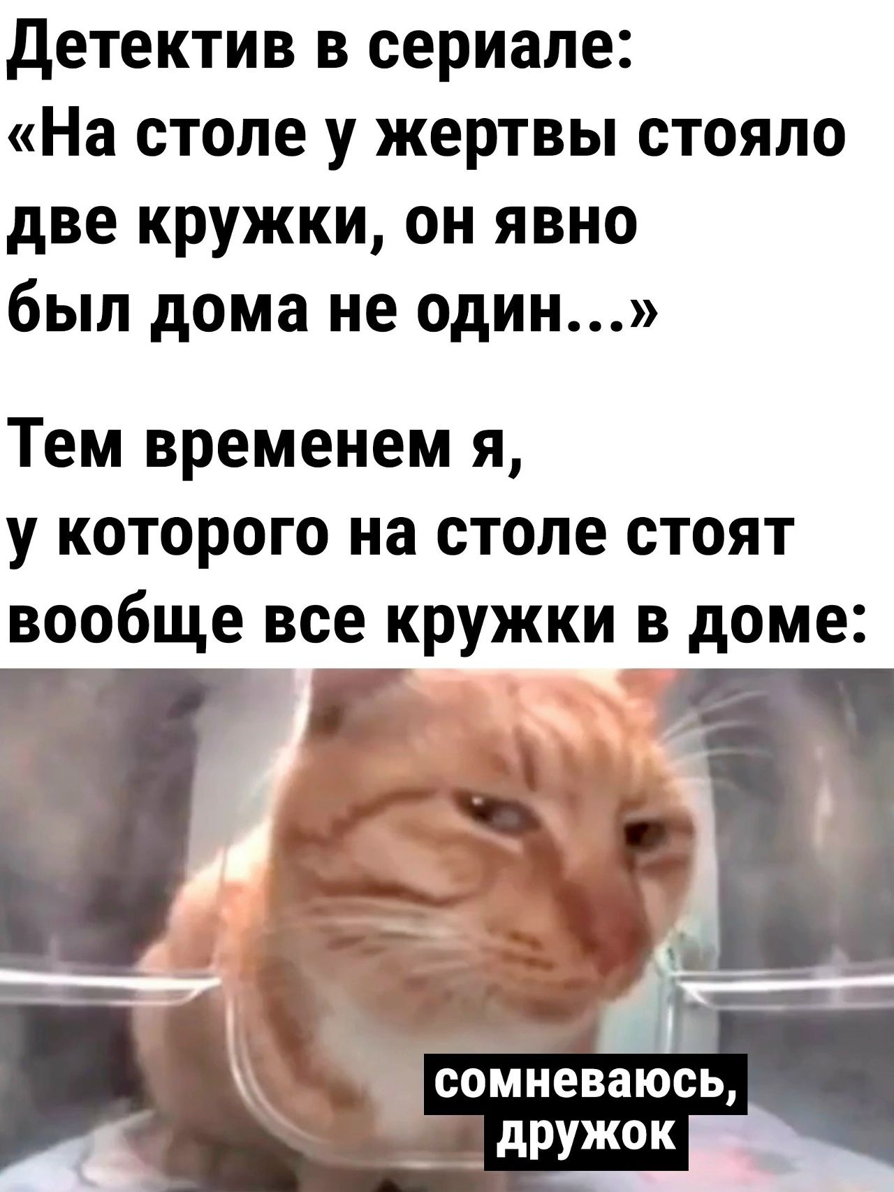 Детектив в сериале: «На столе у жертвы стояло две кружки, он явно был дома не один...» Тем временем я, у которого на столе стоят вообще все кружки в доме: сомневаюсь, дружок