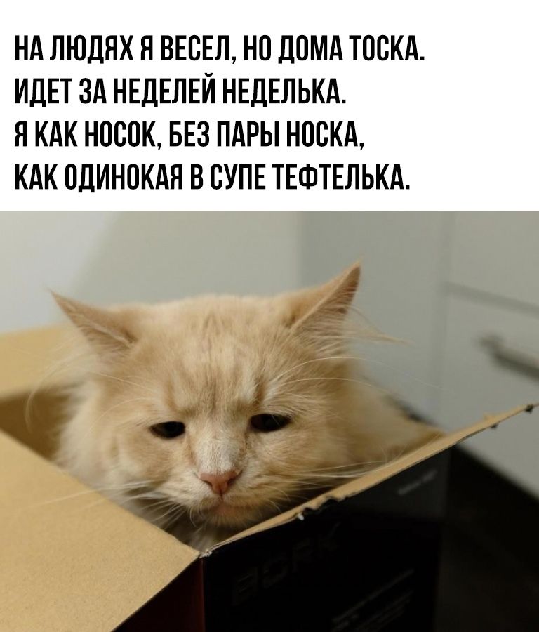 НА ЛЮДЯХ Я ВЕСЕЛ, НО ДОМА ТОСКА. ИДЕТ ЗА НЕДЕЛЕЙ НЕДЕЛЬКА. Я КАК НОСОК, БЕЗ ПАРЫ НОСКА, КАК ОДИНОКая В СУРЕ ТЕФТЕЛЬКА.
