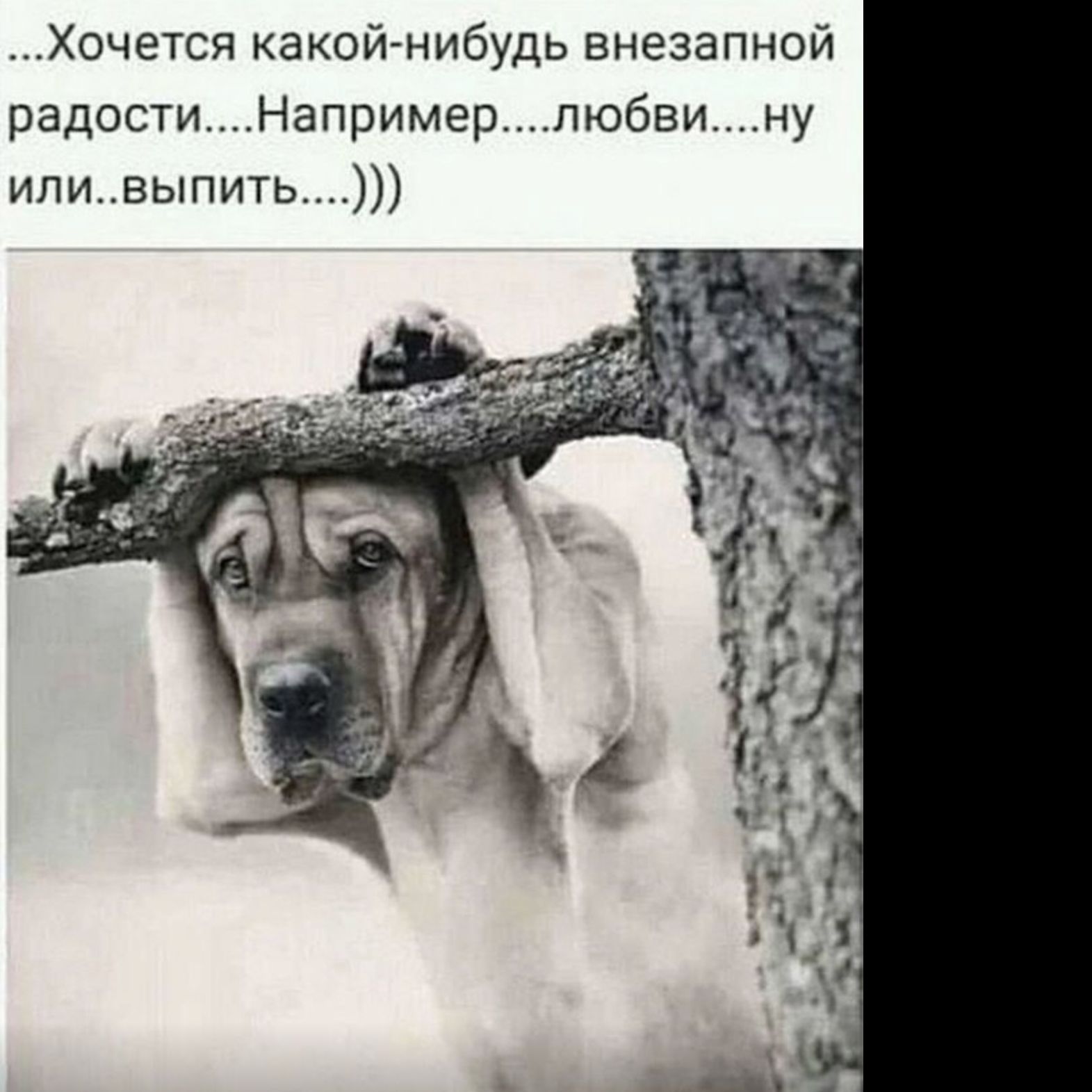 Хочется какой-нибудь внезапной радости… Например… любви… ну или… выпить… )))