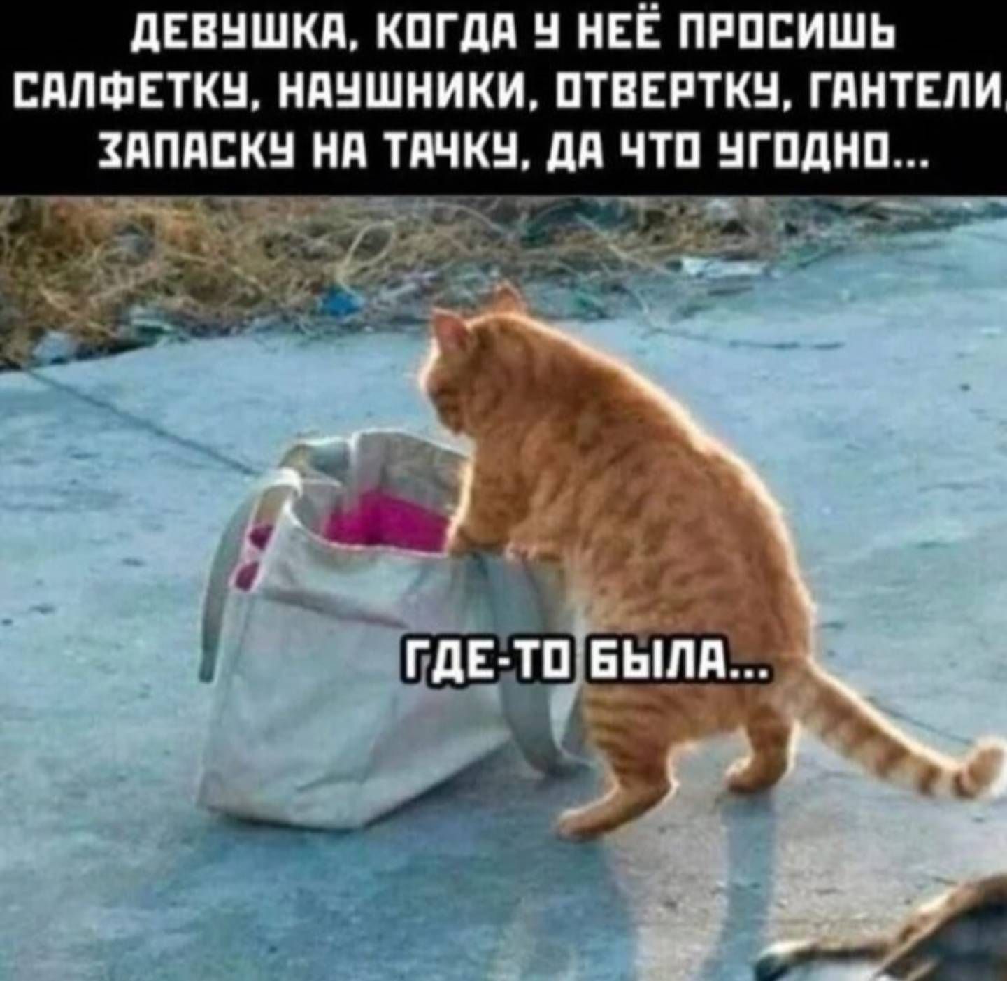 ДЕВУШКА, КОГДА У НЕЁ ПРОСИШЬ САЛФЕТКУ, НАУШНИКИ, ОТВЕРТКУ, ГАНТЕЛИ ЗАПАСКУ НА ТАЧКУ, ДА ЧТО УГОДНО... ГДЕ-ТО БЫЛА...