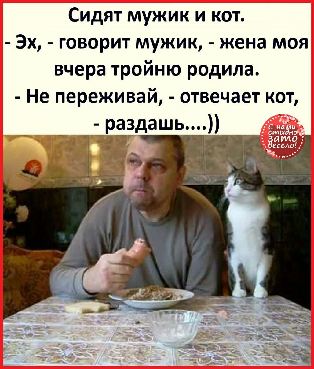Сидят мужик и кот. - Эх, - говорит мужик, - жена моя вчера тройню родила. - Не переживай, - отвечает кот, - раздашь....))