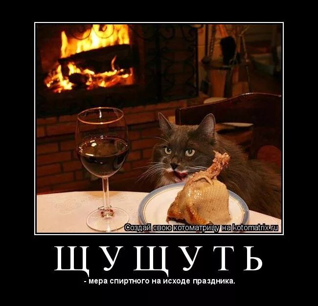 Создай свою котоматрицу на kotomath.ru
Щцу щутъ
- мера спиртного на исходе праздника.