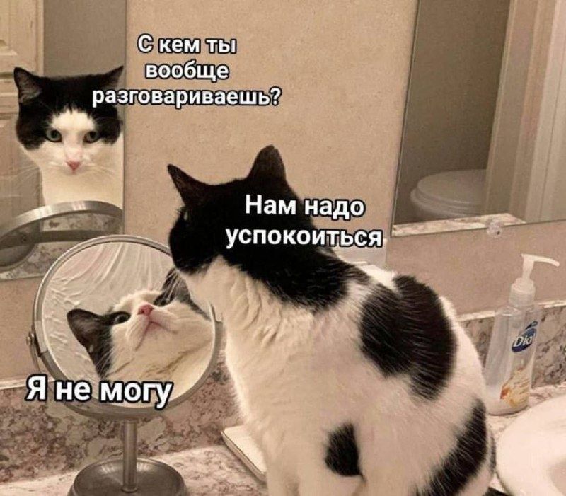 С кем ты вообще разговариваешь? Нам надо успокоиться Я не могу