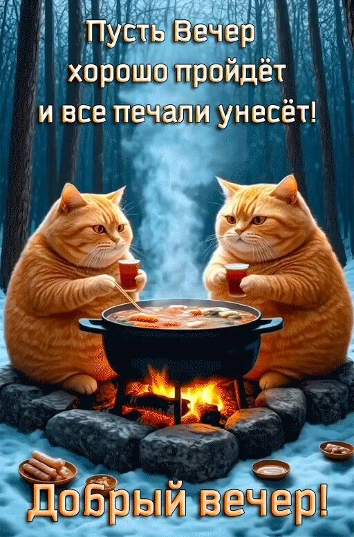 Пусть вечер хорошо пройдёт и все печали унесёт! Добрый вечер!