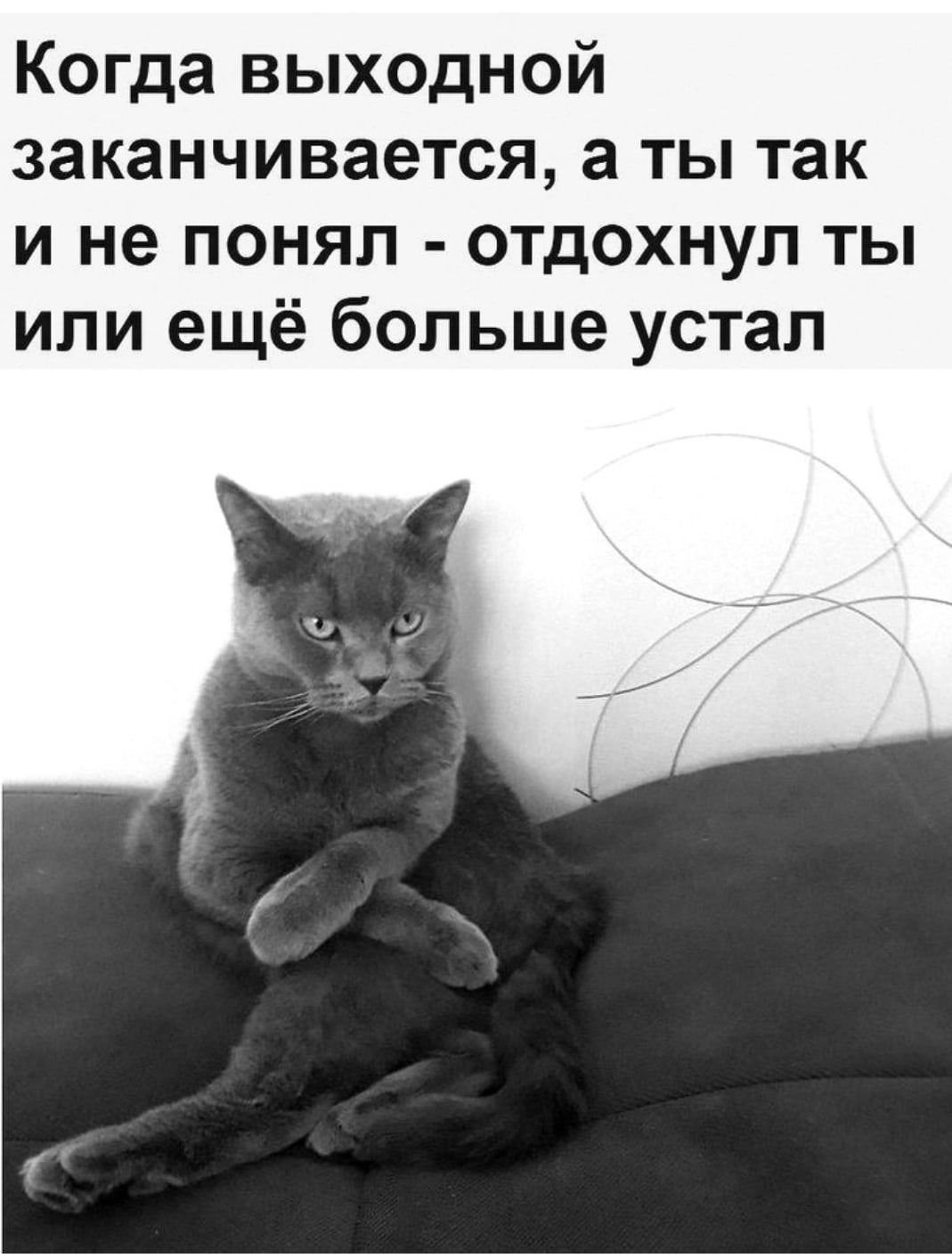 Когда выходной заканчивается, а ты так и не понял - отдохнул ты или ещё больше устал