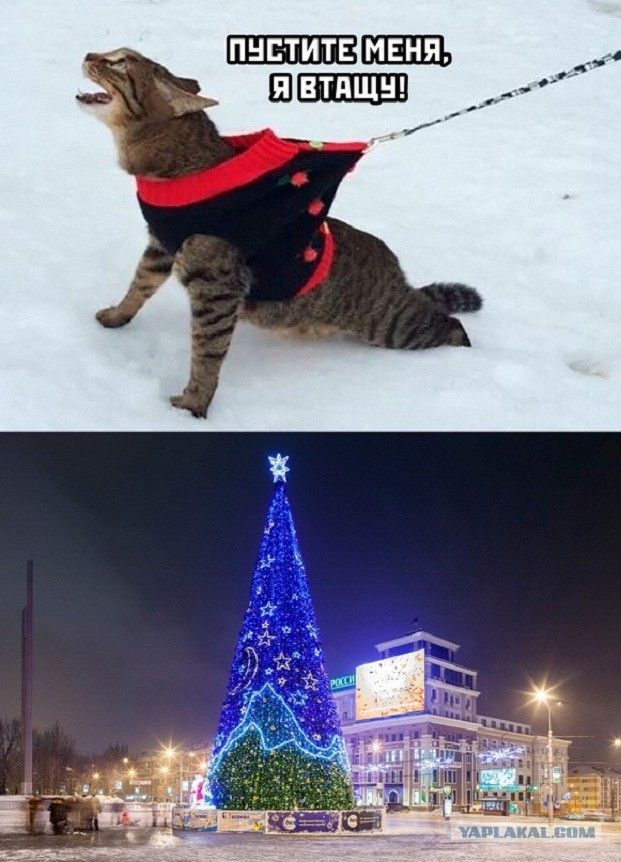 ПУСТИТЕ МЕНЯ, Я ВТАЩУ!