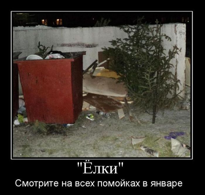 Ёлки\nСмотрите на всех помойках в январе
