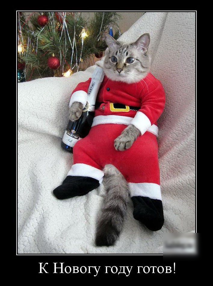 К Новому году готов!