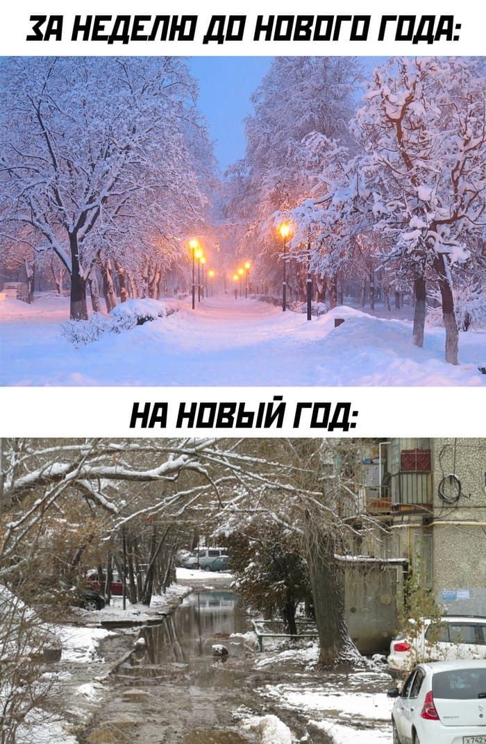 ЗА НЕДЕЛЮ ДО НОВОГО ГОДА:
НА НОВЫЙ ГОД:
