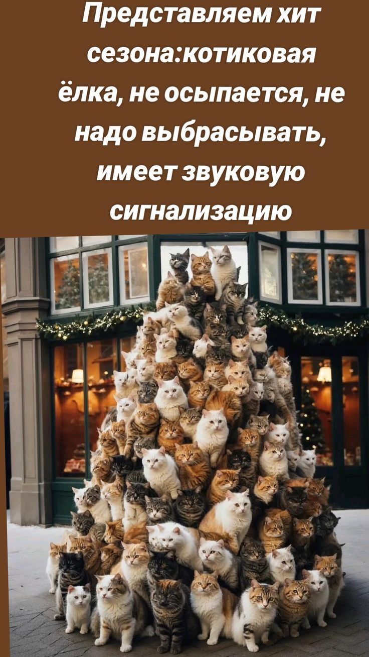 Представляем хит сезона: котиковая ёлка, не осыпается, не надо выбрасывать, имеет звуковую сигнализацию