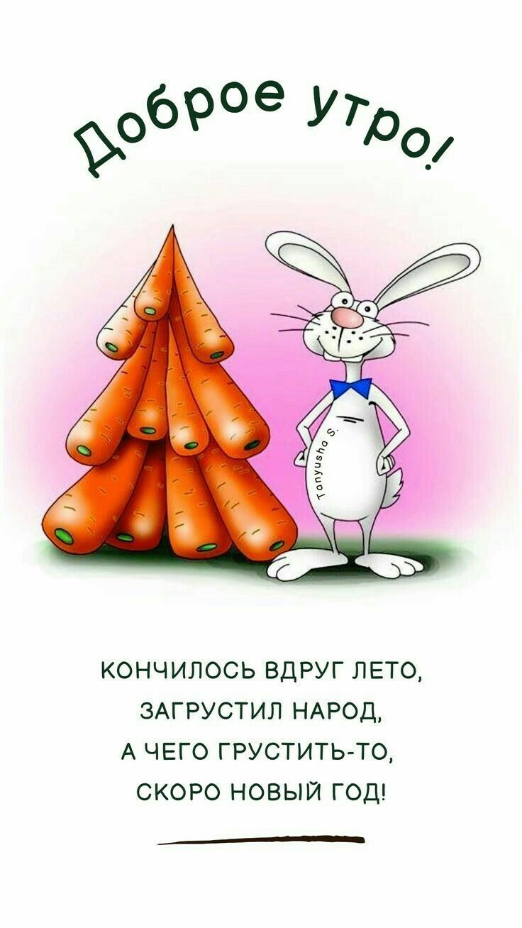 Доброе утро! Кончилось вдруг лето, загрустил народ, а чего грустить-то, скоро новый год!
