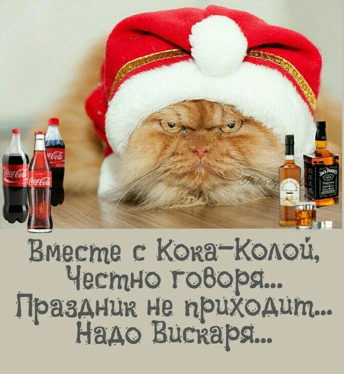 Вместе с Кока-Колой, Честно говоря... Праздник не приходит... Надо Вискаря...