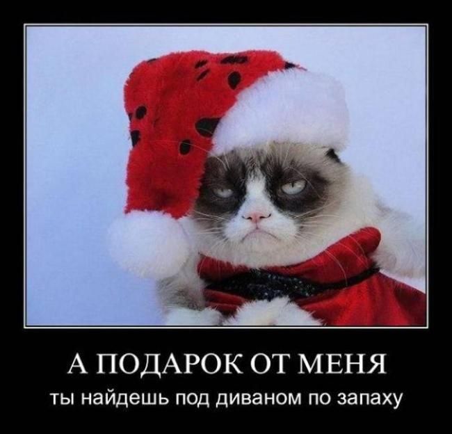 А ПОДАРОК ОТ МЕНЯ ты найдешь под диваном по запаху