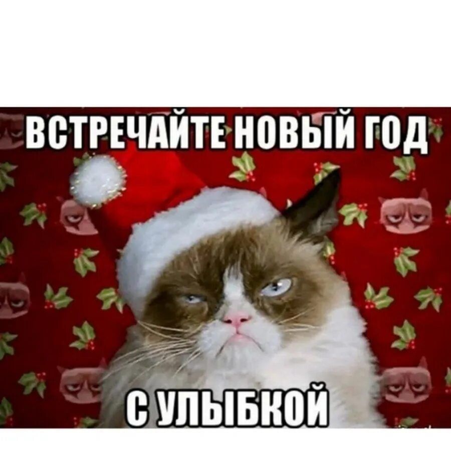 ВСТРЕЧАЙТЕ НОВЫЙ ГОД С УЛЫБКОЙ