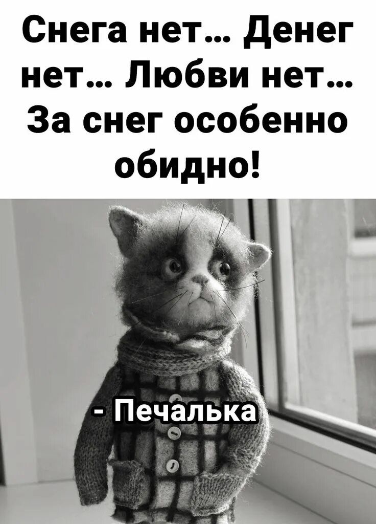 Снега нет... Денег нет... Любви нет... За снег особенно обидно! - Печалька
