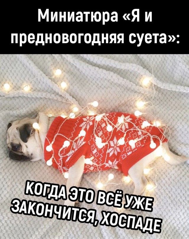 Миниатюра «Я и предновогодняя суета»: когда это всё уже закончится, госпаде