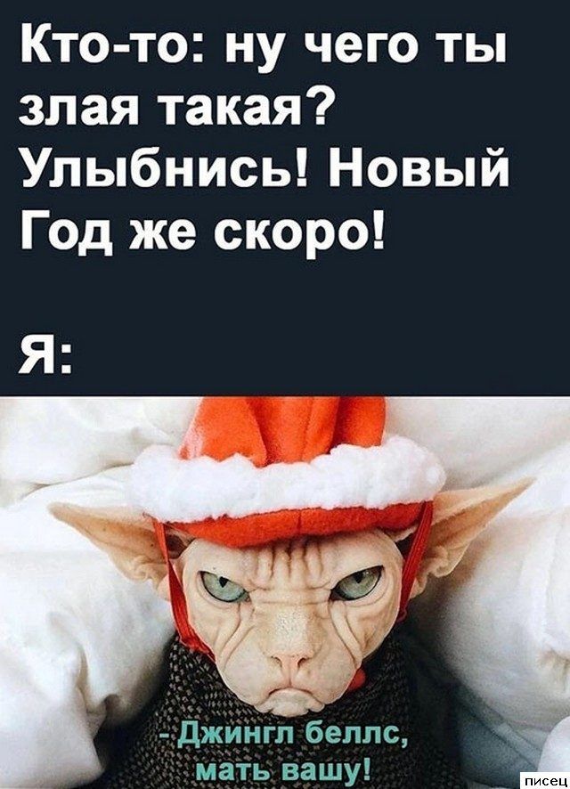 Кто-то: ну чего ты злая такая? Улыбнись! Новый Год же скоро!\nЯ:\n- Джингл Беллс, мать вашу!
