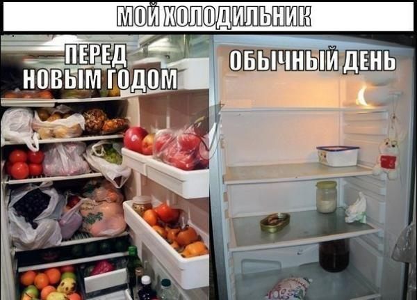 МОЙ ХОЛОДИЛЬНИК
ПЕРЕД НОВЫМ ГОДОМ
ОБЫЧНЫЙ ДЕНЬ