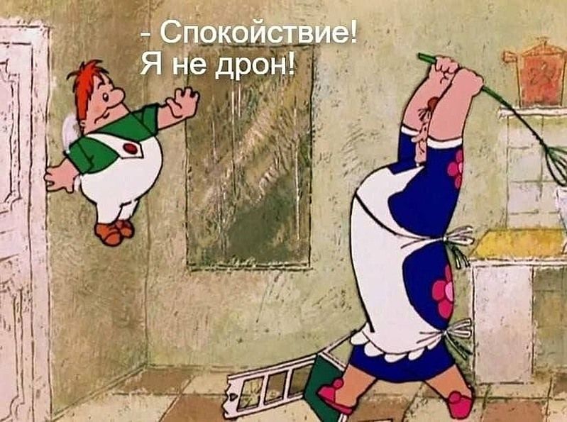 - Спокойствие! Я не дрон!