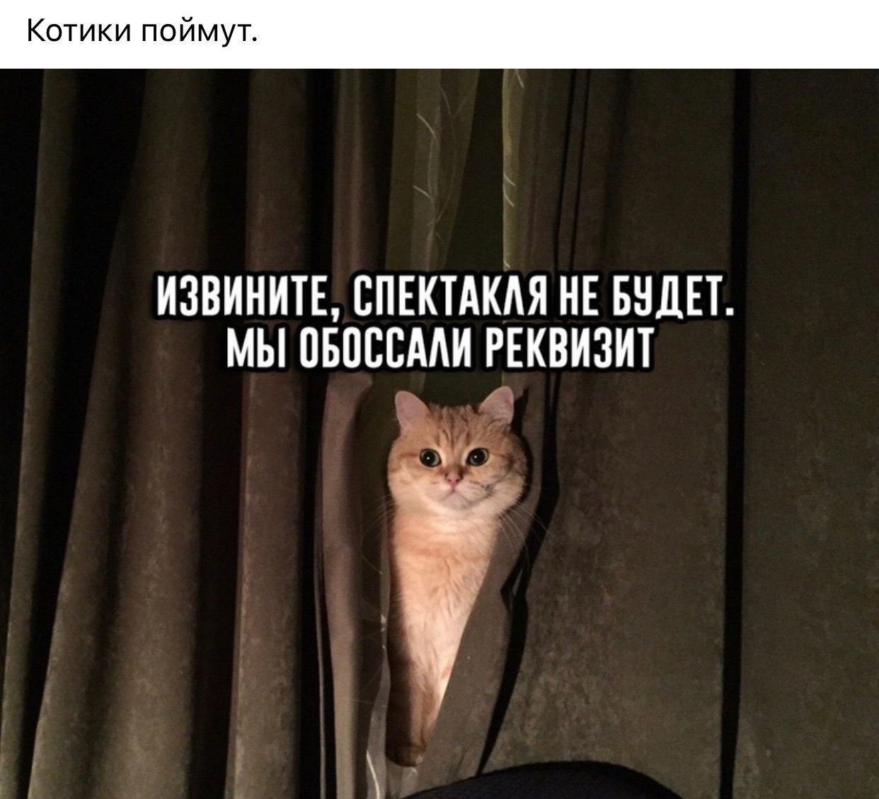 Котики поймут.
ИЗВИНИТЕ, СПЕКТАКЛЯ НЕ БУДЕТ. МЫ ОБСОСАЛИ РЕКВИЗИТ