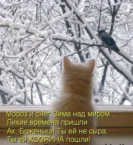 Мороз и снег. Зима над миром... Лихие времена пришли. Ах, Боженька! Ты ей не сыра, Ты ей ХОЗЯИНА пошли!