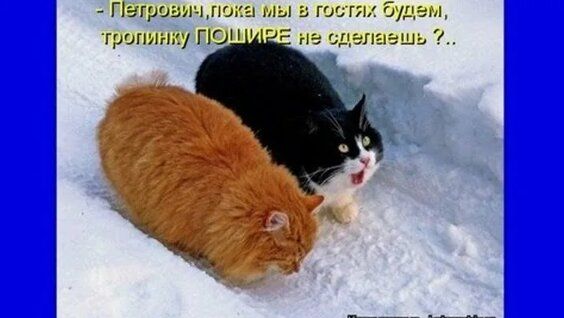 - Петрович, пока мы в гостях будем, тропинку ПОШИРЕ не сделаешь?